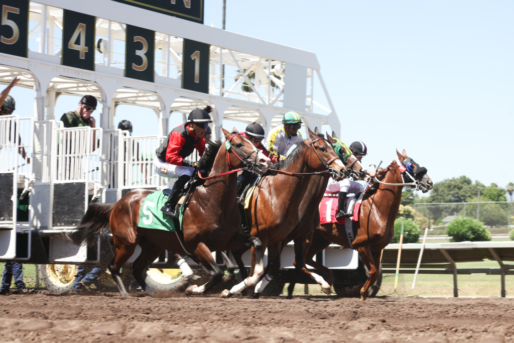 Horse Racing  Alameda County Fair