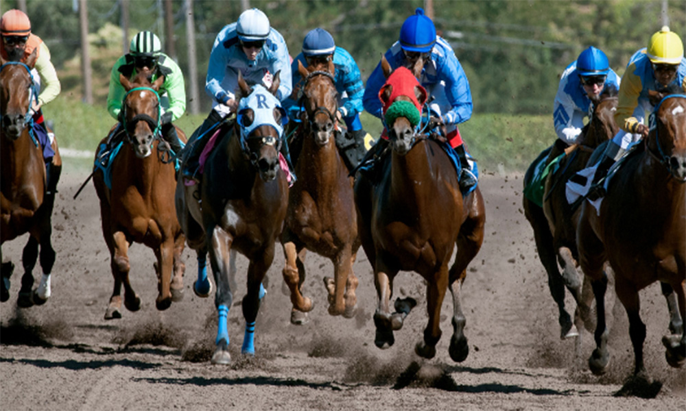 Wager on Horse Racing