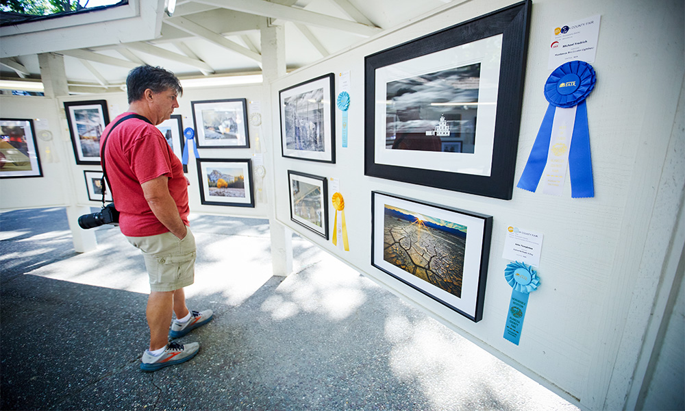 The Beauty of Participating in a Fair's Competitive Exhibits